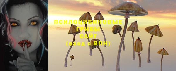 СК Нефтекумск