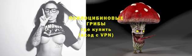 Альфа ПВП Надым