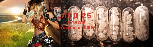 ГАЛЛЮЦИНОГЕННЫЕ ГРИБЫ Нея