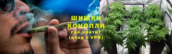 ГАЛЛЮЦИНОГЕННЫЕ ГРИБЫ Нея
