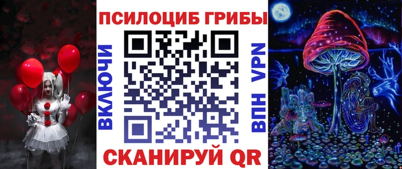 купить   Микунь  Псилоцибиновые грибы Cubensis 